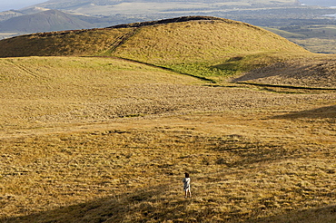 Mount Terevaka, a young volcano, the highest point on the island, 511 m above sea level, Easter Island, Chile, South America