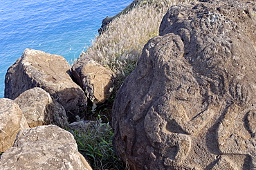 Petroglyphs with birdman images beside lake in crater, Orongo, Easter Island, Chile, South America