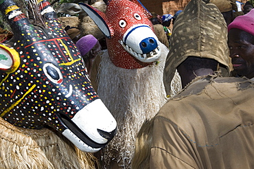 Senufo masks during festivities in the village of Loulouni, Sikasso area, Mali, Africa