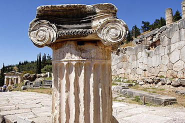 The Polygonal wall, a retaining wall built after the destruction of the old temple of Apollo in 548 BC, Delphi, UNESCO World Heritage Site, Peloponnese, Greece, Europe