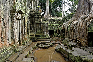 Ta Prohm temple dating from the mid 12th to early 13th centuries, Angkor, UNESCO World Heritage Site, Siem Reap, Cambodia, Indochina, Southeast Asia, Asia