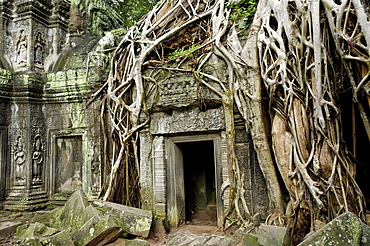 Ta Prohm temple dating from the mid 12th to early 13th centuries, Angkor, UNESCO World Heritage Site, Siem Reap, Cambodia, Indochina, Southeast Asia, Asia