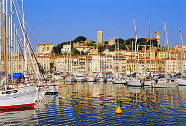 The Port, the Quay St. Pierre and the Suquet, Cannes, Alpes Maritime, France 