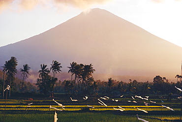 Volcanic Mount Gunung Batur, Bali, Indonesia 