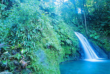 Waterfall, Guadeloupe, French Antilles, Caribbean