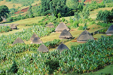 Small village in Hosana region, Shoa province, Ethiopia, Africa 