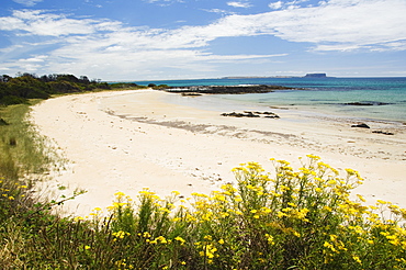 The Nut at Circular Head on Perkins Bay, Stanley, Tasmania, Australia, Pacific