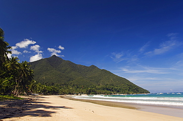 Island beach, coral fringe and clear waters, Bacuit Bay, El Nido Town, Palawan, Philippines, Southeast Asia, Asia