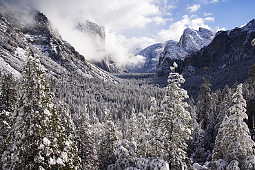 Fresh snow fall on El Capitan in Yosemite Valley, Yosemite National Park, UNESCO World Heritage Site, California, United States of America, North America