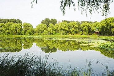 Yuanmingyuan (Old Summer Palace), Beijing, China, Asia