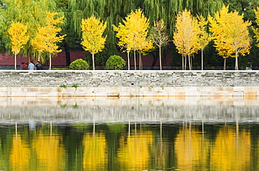 Autumn colours reflected in the moat of the Forbidden City Palace Museum, Beijing, China, Asia