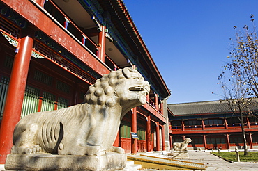 A lion statue at Zhen Jue temple, Beijing, China, Asia