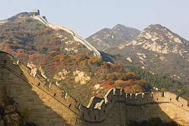 Autumn colours and a watch tower on The Great Wall of China, UNESCO World Heritage Site, Badaling, China, Asia