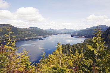 Nitinat Lake, Carmanah Walbran Provincial Park, Vancouver Island, British Columbia, Canada, North America