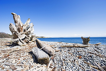 A beach on the Strait of Juan de Fuca, Victoria, Vancouver Island, British Columbia, Canada, North America