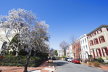 Georgetown district, Washington D.C., United States of America, North America