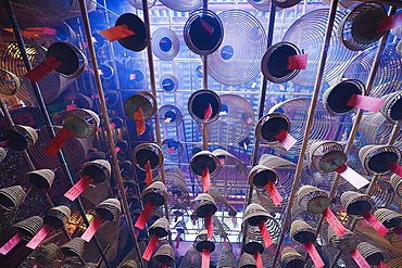 Incense coils, Man Mo Temple, Hong Kong Island, Hong Kong Special Administrative Region (SAR), China, Asia