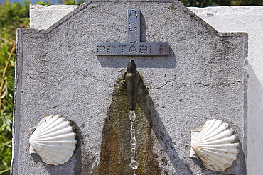 Scallop shells on a water fountain, on the Camino de Santiago, Spain, Europe