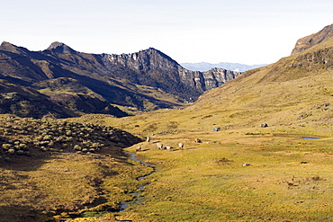 El Cocuy National Park, Colombia, South America