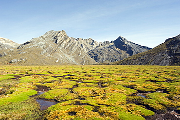 Valle de los Cojines, El Cocuy National Park, Colombia, South America