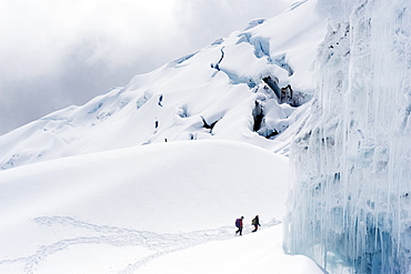 Climbers on the glacier of Volcan Cotopaxi, at 5897m the highest active volcano in the world, Ecuador, South America