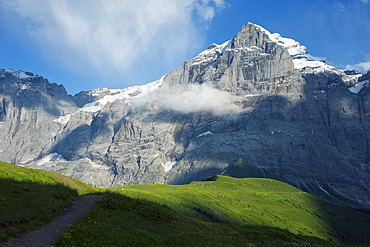 Wetterhorn 3692m, Jungfrau-Aletsch, UNESCO World Heritage Site, Swiss Alps, Switzerland, Europe