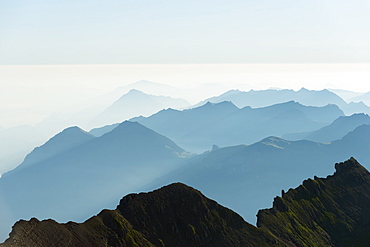 Mountain silhouette at dawn, Jungfrau-Aletsch, UNESCO World Heritage Site, Swiss Alps, Switzerland, Europe