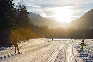 Cross country skiers, Chamonix Valley, Rhone Alps, Haute Savoie, France, Europe