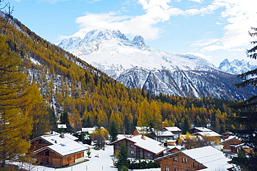 Autumn colours at Montroc le Planet, Chamonix, Rhone Alps, Haute Savoie, French Alps, France, Europe