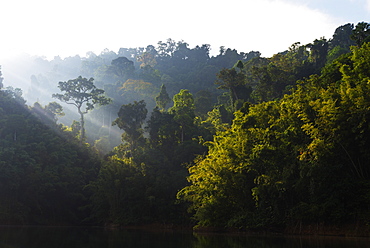 Ratchaprapa reservoir, Khao Sok National Park, Surat Thani Province, Thailand, Southeast Asia, Asia