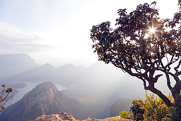 Blyde River Canyon Nature Reserve at sunrise, Mpumalanga, South Africa, Africa