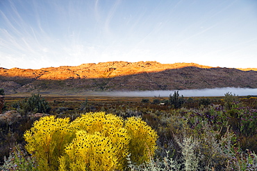 Cederberg Wilderness Area, Western Cape, South Africa, Africa