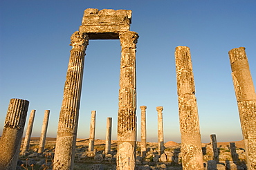 Archaelogical site, Apamea (Qalat at al-Mudiq), Syria, Middle East