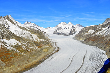 Aletsch glacier, Monch, 4107m, and Trugbe, Jungfrau-Aletsch, UNESCO World Heritage Site, Valais, Swiss Alps, Switzerland, Europe