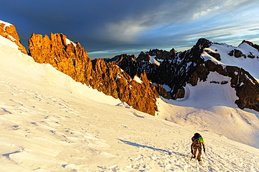 Climber on a glacier, Barre des Ecrins, Ecrins National Park, French Dauphine Alps, Haute Alpes, France, Europe