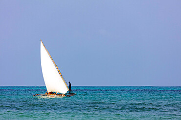 Dhow sailing boat, Paje, Island of Zanzibar, Tanzania, East Africa, Africa