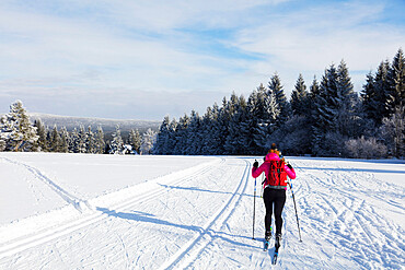 Cross country ski location, Liberec, Czech Republic, Europe