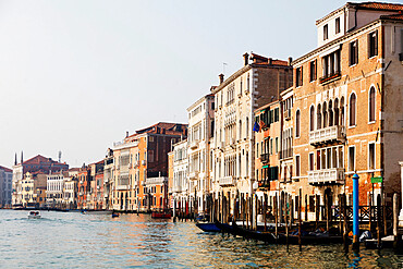 Historic Venetian buildings on the Grand Canal, Venice, UNESCO World Heritage Site, Veneto, Italy, Europe