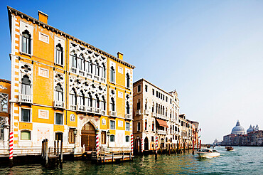 Historic Venetian buildings on the Grand Canal, Venice, UNESCO World Heritage Site, Veneto, Italy, Europe