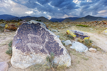 Petroglyphs dated around 1000 BC, Cholpon Ata, Kyrgyzstan, Central Asia, Asia