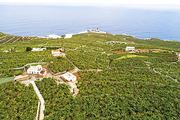 Aerial view of banana plantations. UNESCO Biosphere Site, La Palma, Canary Islands, Spain, Atlantic, Europe