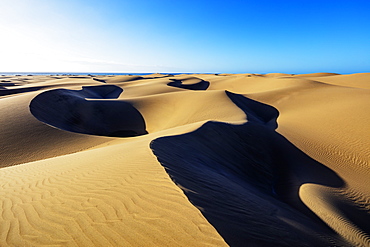 Dunes of Maspalomas Nature Reserve, Gran Canaria, Canary Islands, Spain, Atlantic, Europe