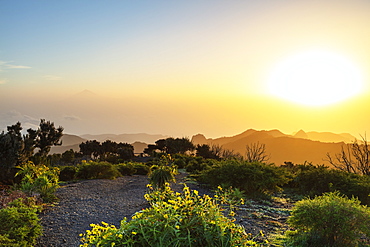 Garajonay National Park and Tenerife in the distance, Garajonay National Park, UNESCO World Heritage Site, La Gomera, Canary Islands, Spain, Atlantic, Europe