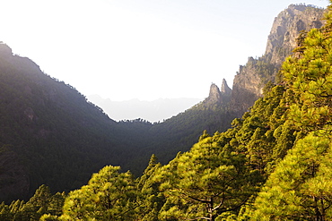 Caldera de Taburiente National Park, UNESCO Biosphere Site, La Palma, Canary Islands, Spain, Atlantic, Europe