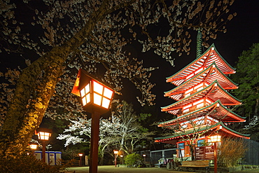 Cherry blossom at Chureito Pagoda in Arakurayama Sengen Park, Yamanashi Prefecture, Honshu, Japan, Asia