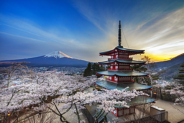 Chureito Pagoda in Arakurayama Sengen Park, Fujiyoshida, Yamanashi Prefecture, Honshu, Japan, Asia