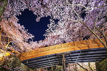 Heart shaped cherry blossom at Takato castle, Takato, Nagano Prefecture, Honshu, Japan, Asia