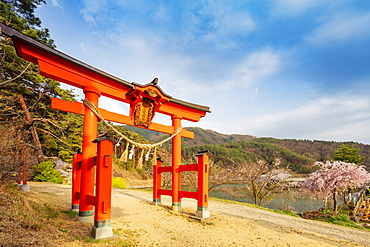 Torii gate of a Shinto shrine, Matsumoto, Nagano Prefecture, Honshu, Japan, Asia