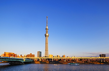 Tokyo Sky Tree Tower, Asakusa, Tokyo, Japan, Asia