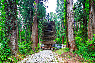 Five storey pagoda, Dewa sanzan Hagurosan temple, Yamagata Prefecture, Honshu, Japan, Asia